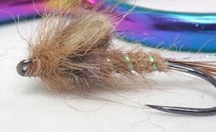 Vulgata emerger underside Vulgata emerger underside