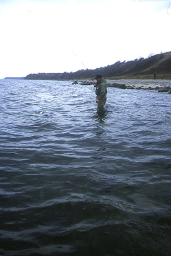 Landing a fish Landing a fish