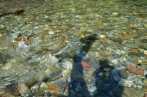 Exciting fight Exciting fight