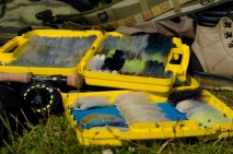 EP flies galore EP flies galore