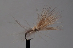 Reversed CDC & Elk Reversed CDC & Elk