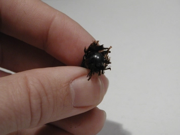 Ball in the tube Ball in the tube