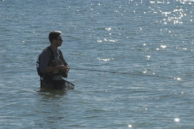 Waist deep Waist deep