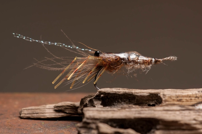 The Prefab Shrimp The Prefab Shrimp