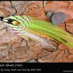 #317 Merrimack Ghost (Var) - Bob Petti #317 Merrimack Ghost (Var) - Bob Petti