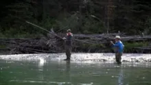 Video thumb for The Lifelong Fly Angler