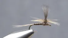 Video thumb for Blue Quill Parachute