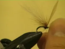 Video thumb for Tim's Olive Emerger BWO