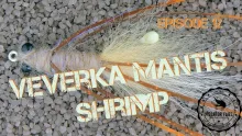 Video thumb for Bob Veverka's Mantis Shrimp