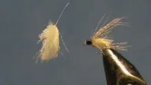 Video thumb for Parasol Caddis Pupa
