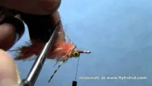 Video thumb for Ryan's EZ-Bug Carp Fly