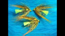 Video thumb for Golden Octopus (Irish Wet Fly)