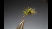Video thumb for Tying a Paraloop hackle