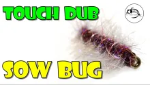 Video thumb for Touch Dub Sow Bug