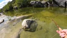 Video thumb for Medina River after a drought