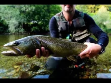 Video thumb for Marmorata - Slovenia - June 2013