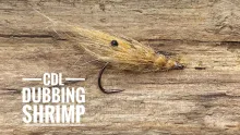 Video thumb for CDL Dubbing Shrimp