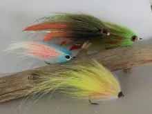 Video thumb for Broom fly