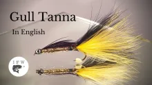 Video thumb for Tanna Gold