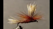 Video thumb for March Brown Mayfly