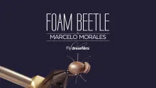 Video thumb for Foam Beetle