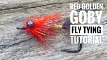 Video thumb for Red Golden Goby