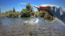 Video thumb for Fishing For Huge Trout in local river!