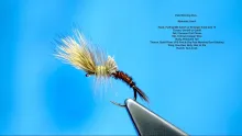 Video thumb for Pale Morning Dun Emerger