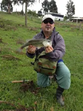 User submitted picture: Bass in Brazil, Capão Alto. Santa Catarina