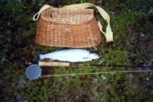 User submitted picture: Arctic Char (sea run) wit...