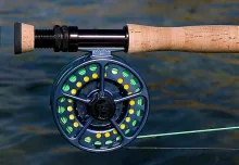 User submitted picture: Top-Gear