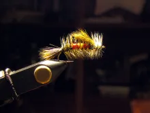 User submitted picture: "Spanish" Royal Stimula...