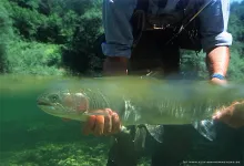 User submitted picture: Slovenian rainbow