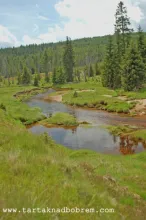 User submitted picture: www.tartanadbobrem.com