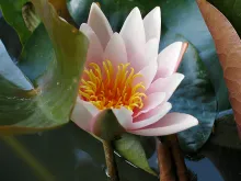 User submitted picture: When you are fishing you ...