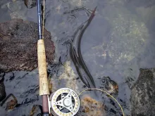 User submitted picture: C&R, but first-say cheese