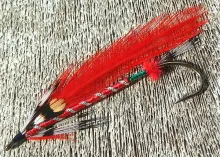 User submitted picture: Autumn Streamer