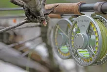 User submitted picture: Abstract shot of rod and ...