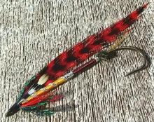 User submitted picture: Forest Fire