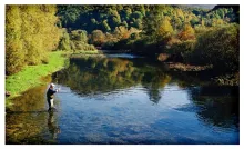 User submitted picture: Fish on! Summer 2010, it ...