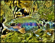 User submitted picture: Digital watercolor photo