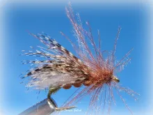User submitted picture: CDC Caddis
