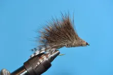 User submitted picture: mouse