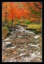 User submitted picture: Arroyo Partido, San MartÃ­...