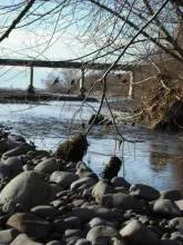 User submitted picture: The River Ahead