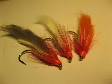 User submitted picture: Three hot zonkers