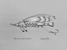 User submitted picture: Fly of the future ~ class...