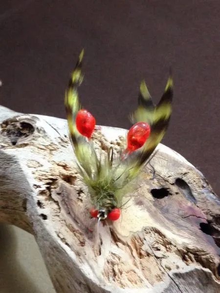 User submitted picture: Red Eye Crayfish. Hook is...