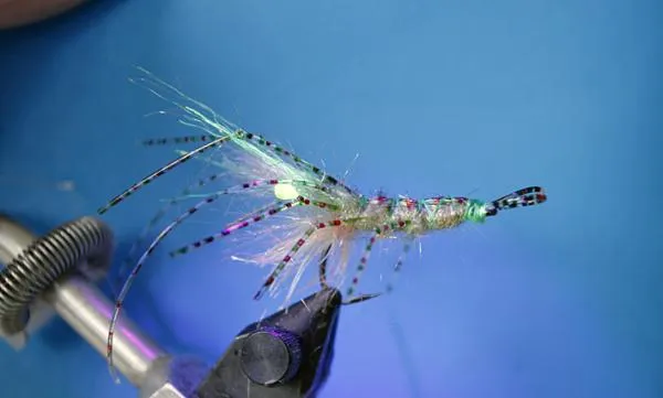 User submitted picture: Here just one varitation ...