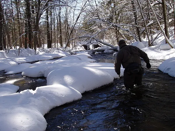 User submitted picture: tricky wading